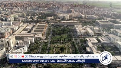 جامعة المنصورة: إدراج 83 عالمًا ضمن قائمة 