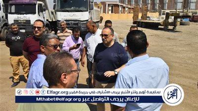 زيارة مفاجئة لمحافظ أسيوط لمشروع وحدة الرصف بقرية اسكندرية التحرير اليوم