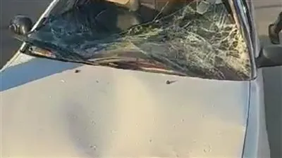 عجل طائش يصدم سيارة أسرة ببورسعيد.. والضحايا يطالبون بتعويض