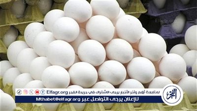 سعر كرتونة البيض في بورصة الدواجن والسوق اليوم الجمعة 26-9-2025