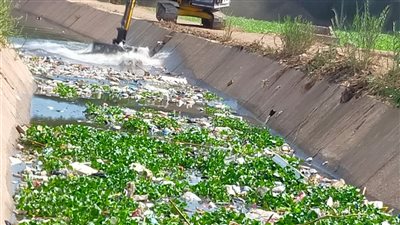 زراعة المنوفية تكشف عن تطهير ما يزيد عن 8 كم من المساقى الخصوصية خلال أسبوع