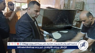 ضبط 134 عبوة فاسدة غير صالحة للاستخدام الآدمي بحملات تموينية مكبرة بوسط الإسكندرية 