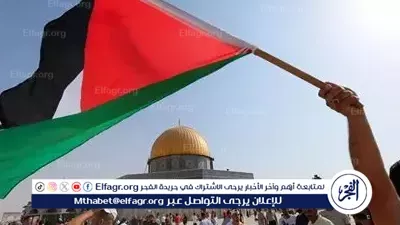عاجل- هيئة دعم فلسطين: مصر وقفت بجوار الحقوق الفلسطينية ونثمن دورها