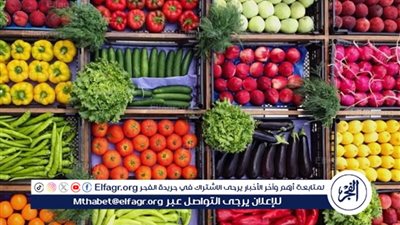 تعرف على أسعار الخضروات بأسواق المنيا اليوم الأحد 28 سبتمبر 2025 