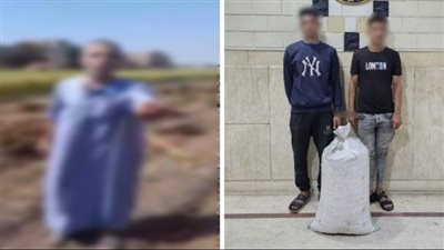 الداخلية تضبط لصوص المحاصيل الزراعية بالشرقية بعد تداول مقطع فيديو