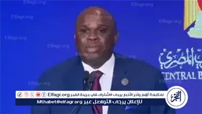 عاجل- رئيس بنك التصدير والاستيراد الأفريقي يشيد بالدعم الكبير من الدولة المصرية