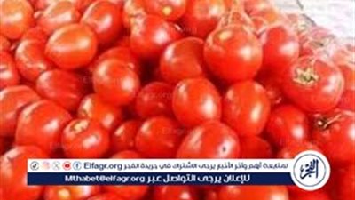  ارتفاع سعر الطماطم بمطروح 