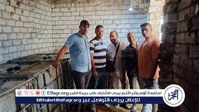 ضبط 7 أطنان سولار بأحد المخازن قبل بيعها بالسوق السوداء بمنفلوط فى أسيوط 