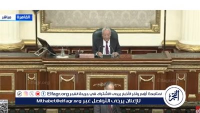 رئيس النواب: مصر ثابتة على دعم الحقوق العربية والسلام خيارها الاستراتيجي (فيديو)