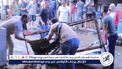 محافظة الإسكندرية تواصل حملاتها برفع 10 أطنان مخلفات بسوق الهانوفيل بالعجمي