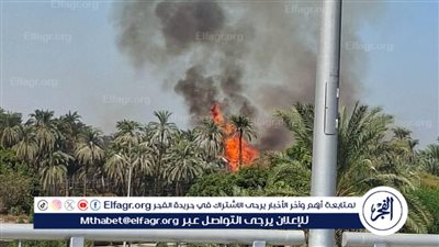 السيطرة على حريق داخل مزرعة دواجن بقرية جمجرة في بنها دون خسائر بشرية