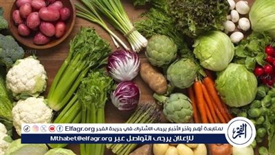 ارتفاعات في أسعار الخضروات بأسواق المنيا اليوم الخميس 2أكتوبر 2025 وسط ضغط على بعض الأصناف