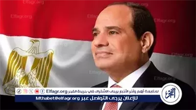 عاجل- الرئيس السيسي يتابع جهود توفير التغذية الكهربائية للمشروعات الزراعية بجهاز 