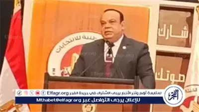 6 نوفمبر.. بدء الدعاية الانتخابية بالمرحلة الثانية من انتخابات مجلس النواب 2025