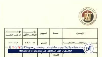 تفاصيل الجدول الزمني لانتخابات مجلس النواب 2025 داخل مصر والخارج 