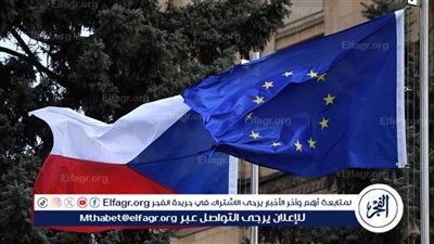 68.35 % نسبة المشاركة في الانتخابات البرلمانية التشيكية