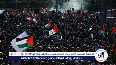 عشرات آلاف المتظاهرين في روما يهتفون: الحرية لفلسطين.. أوقفوا الإبادة الجماعية 