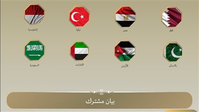 عاجل.. بيان مشترك لوزراء خارجية الدول العربية الإسلامية بشأن الأوضاع الإنسانية في غزة 