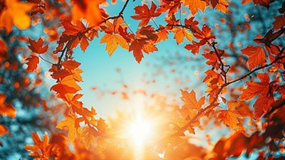 الأناقة الدافئة: كيف تختار إطلالتك المثالية في فصل الخريف