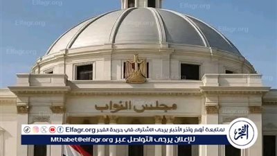 مصر تستعد لإجراء انتخابات مجلس النواب 2025 على مرحلتين خلال نوفمبر