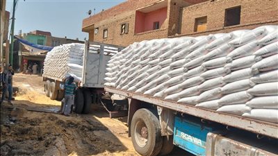 محافظ الجيزة: انتظام توزيع الأسمدة الزراعية المدعمة وضمان وصولها للمزارعين