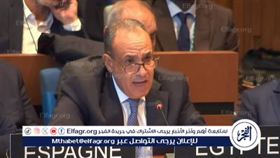 وزير الخارجية يدعو لانتخاب خالد العناني مديرًا عامًا لليونسكو