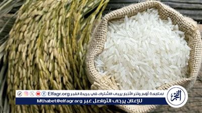 سعر طن الأرز الأبيض والشعير للمستهلك اليوم الإثنين 6اكتوبر 2025 فى المنيا