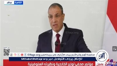 وزير الخارجية: مشاورات غزة تناقش إنشاء آلية أمنية تضمن الانسحاب الإسرائيلي الكامل من القطاع 