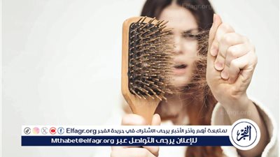 الأفوكادو وزيت الزيتون.. سر الشعر التالف الصحي واللامع