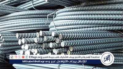 اسعار الحديد فى الشرقية اليوم الاربعاء 8\10\2025