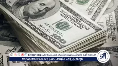 عاجل- سعر الدولار اليوم الأربعاء 8 أكتوبر 2025 أمام الجنيه المصري.. استقرار بالبنوك