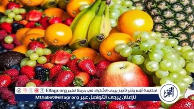 اسعار الفاكهه اليوم الأربعاء 8 اكتوبر 2025فى المنيا