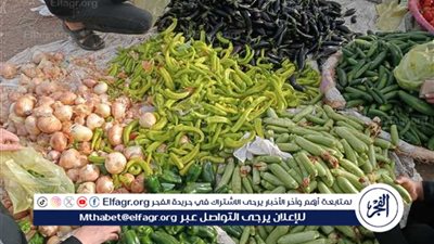 اسعار الخضروات اليوم الخميس 9 اكتوبر 2025فى اسواق المنيا وسط ضغط على بعض الأصناف.