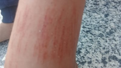 استبعاد معلمة ومدير مدرسة بطوخ عقب تعديها على تلميذ داخل الفصل