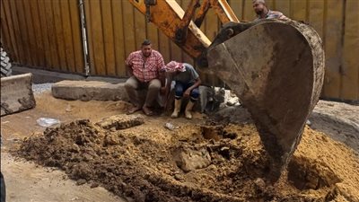 محافظة الجيزة: تحويلات مرورية بشارع الهرم لإصلاح كسر مفاجئ بخط مياه رئيسي