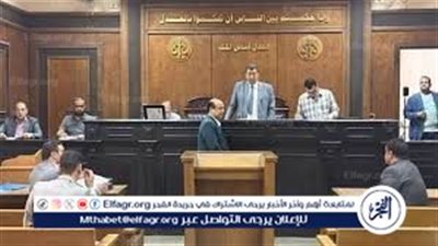 سباق القليوبية يشتعل.. 52 مرشحًا يتنافسون مبكرًا على مقاعد البرلمان 2025