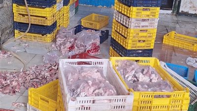 ضبط 5 أطنان دواجن فاسدة داخل مجزر غير مرخص بالمحلة الكبرى