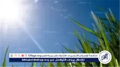 عاجل- طقس خريفي معتدل اليوم.. العظمى في القاهرة 29 والصغرى 19