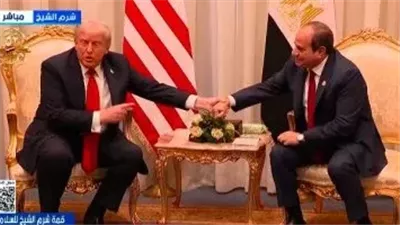 عاجل- السيسي لترامب: نعمل على تثبيت وقف إطلاق النار في غزة وضمان استدامته