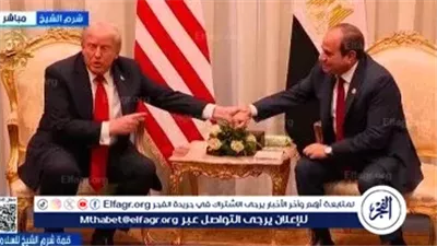عاجل- السيسي يؤكد لترامب ضرورة استكمال وقف إطلاق النار في غزة ويشيد باتفاق وقف الحرب