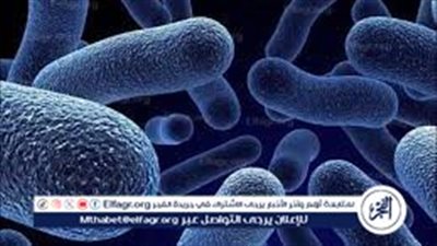 تحذير عالمي من «بكتيريا قاتلة» مقاومة للمضادات الحيوية