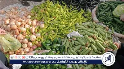 اسعار الخضروات اليوم الثلاثاء 14اكتوبر 2025باسواق المنيا 