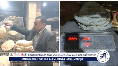 محافظ الدقهلية: تحرير 12 مخالفة في حملة رقابية وتفتيشية على المخابز