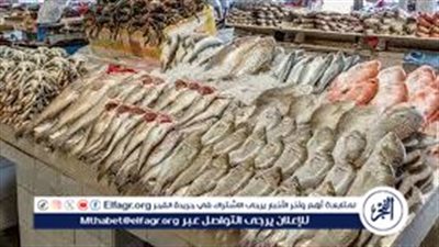 إقبال علي البلطي والبياض..اعرف أسعار السمك اليوم الأحد 19-10-2025 في بني سويف 