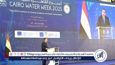عاجل- رئيس الوزراء في ختام أسبوع القاهرة الثامن للمياه: النيل قضية وجود والأمن المائي المصري ليس مجالًا للمساومة