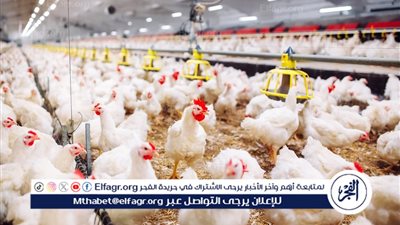 4 إجراءات جديدة لدعم الاستثمار الصناعي