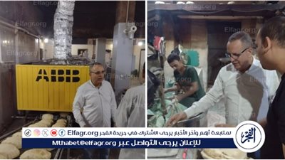 منهم 246 للمخابز …تحرير 330 مخالفة تموينية خلال حملات مكبرة لـ 3 أيام في الدقهلية 