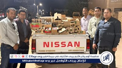 تموين الفيوم تضبط 119 مخالفة تموينية متنوعة تشمل سولار وسلع غذائية منتهية الصلاحية