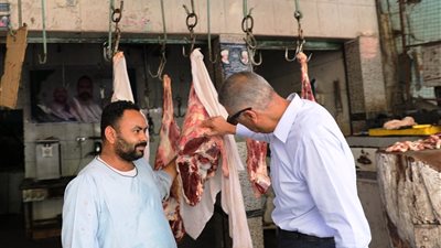 محافظ أسوان يتابع توافر السلع الغذائية..ويشدد على تطبيق نسب التخفيض التى تصل إلى 30 % 