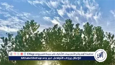 فاضل 64 يومًا.. الشتاء يبدأ رسميًا 21 ديسمبر ويستمر 88 يومًا و23 ساعة